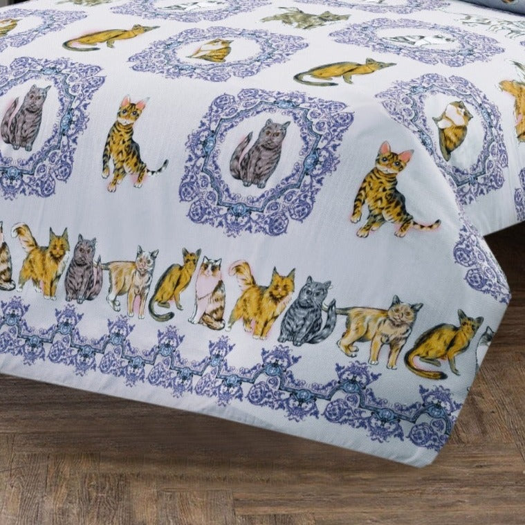 3 PCs Bed Sheet (5134)-AP0052 BED SHEET Apricot