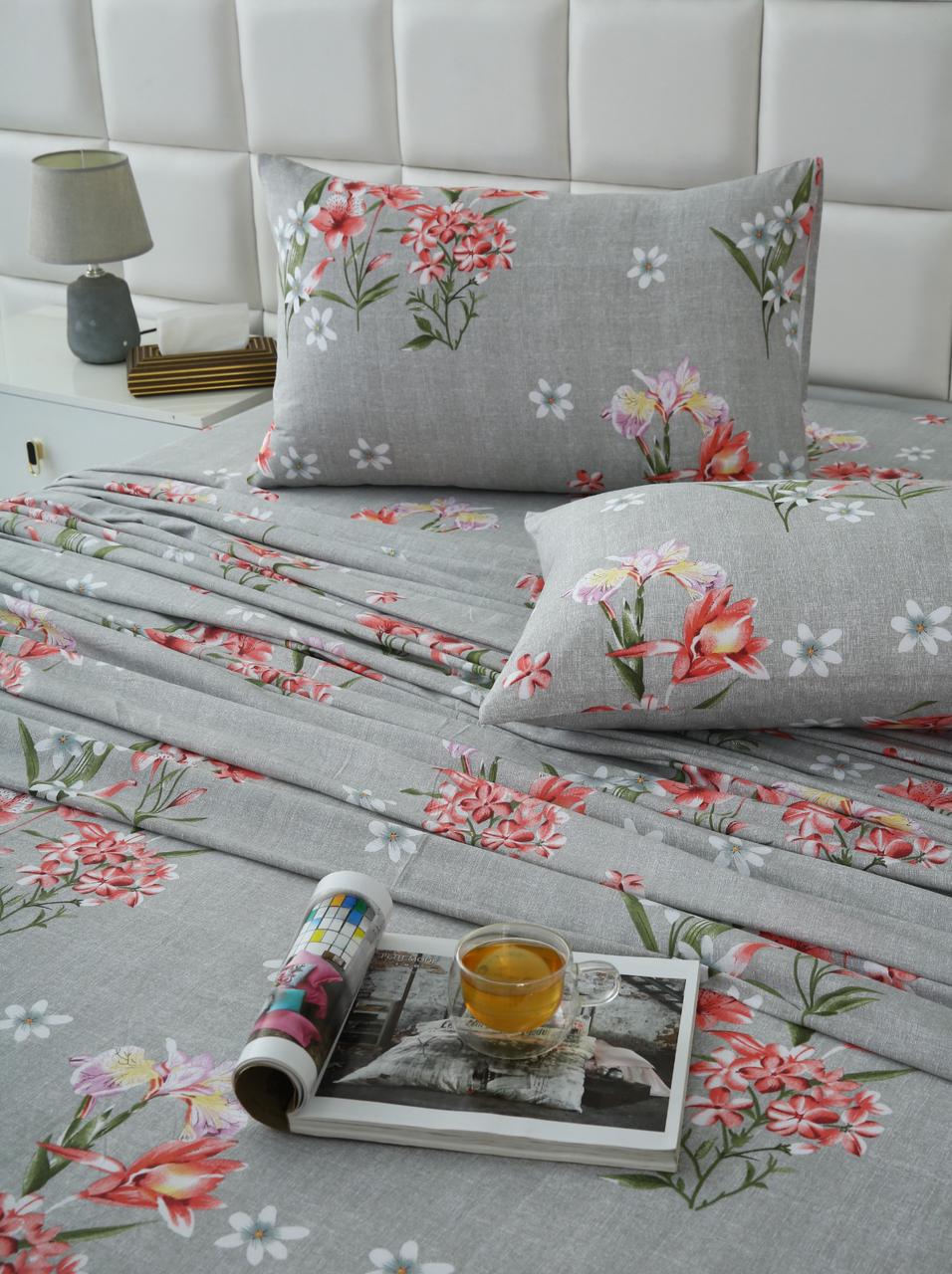 3 PCs Double Bed Sheet-DB207 Bed Sheets Apricot