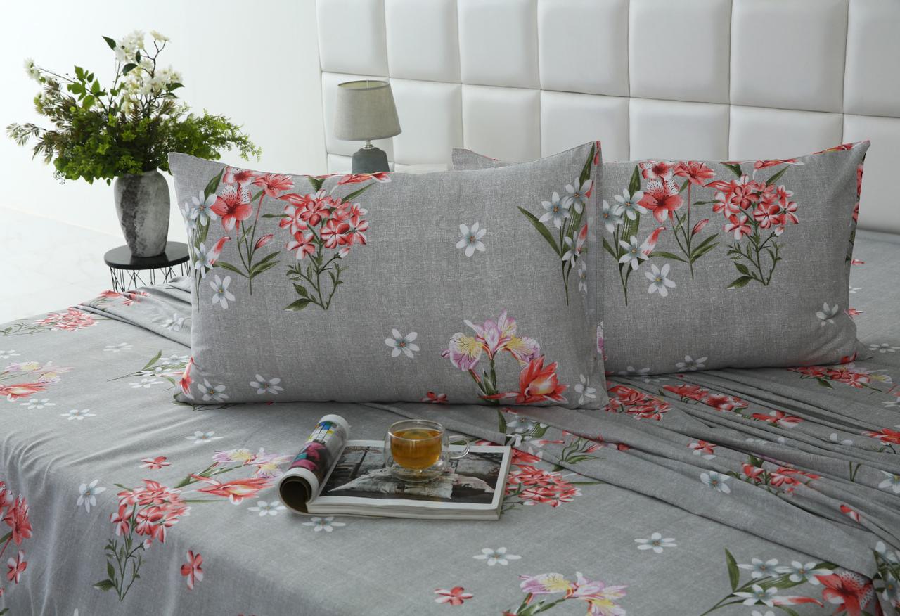 3 PCs Double Bed Sheet-DB207 Bed Sheets Apricot