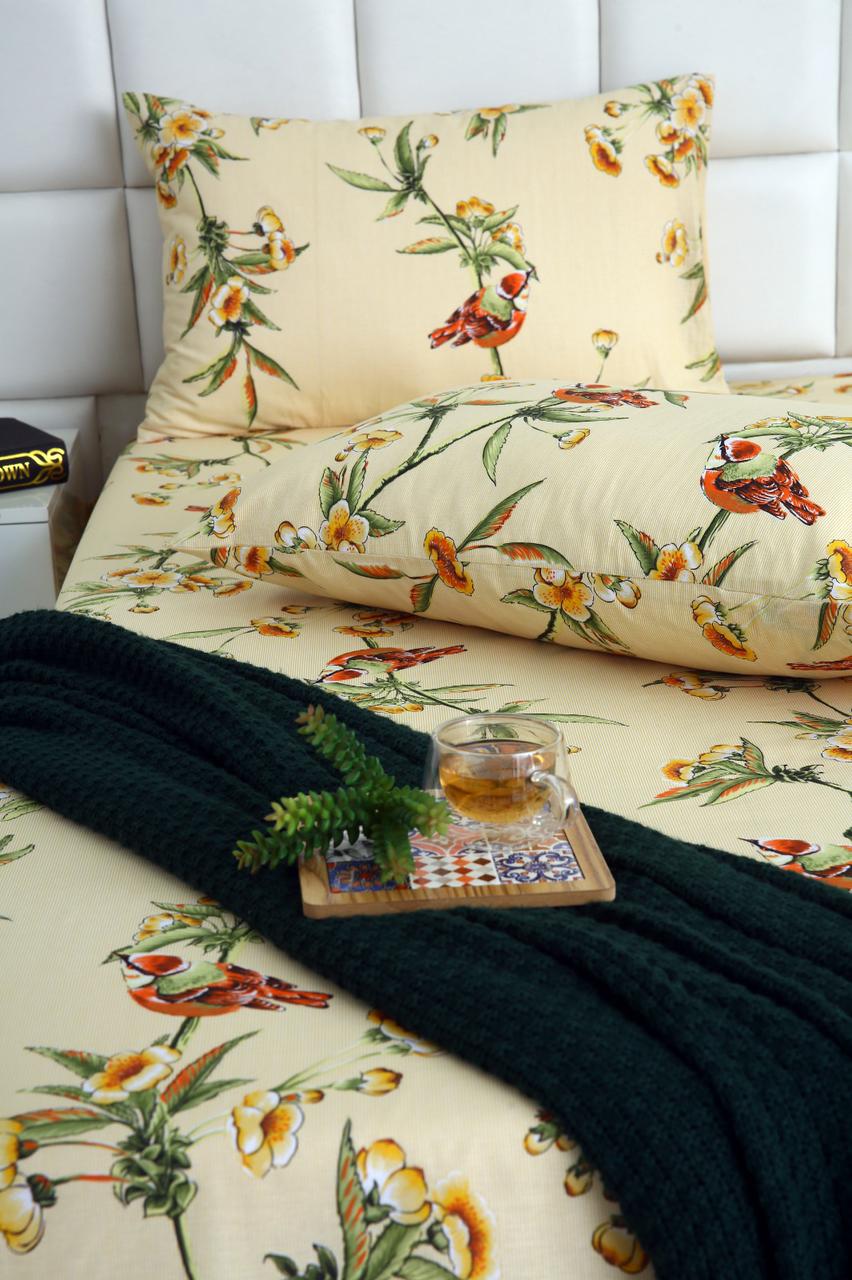 3 PCs Double Bed Sheet-DB-248 Bed Sheets Apricot