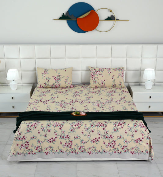 3 PCs Double Bed Sheet-DB-244 Bed Sheets Apricot