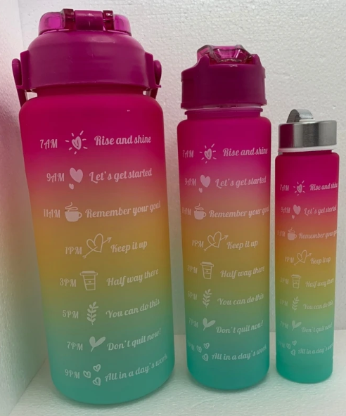 3PCS Water Bottle with Two Straws-Plum  Apricot   