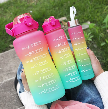 3PCS Water Bottle with Two Straws-Plum  Apricot   
