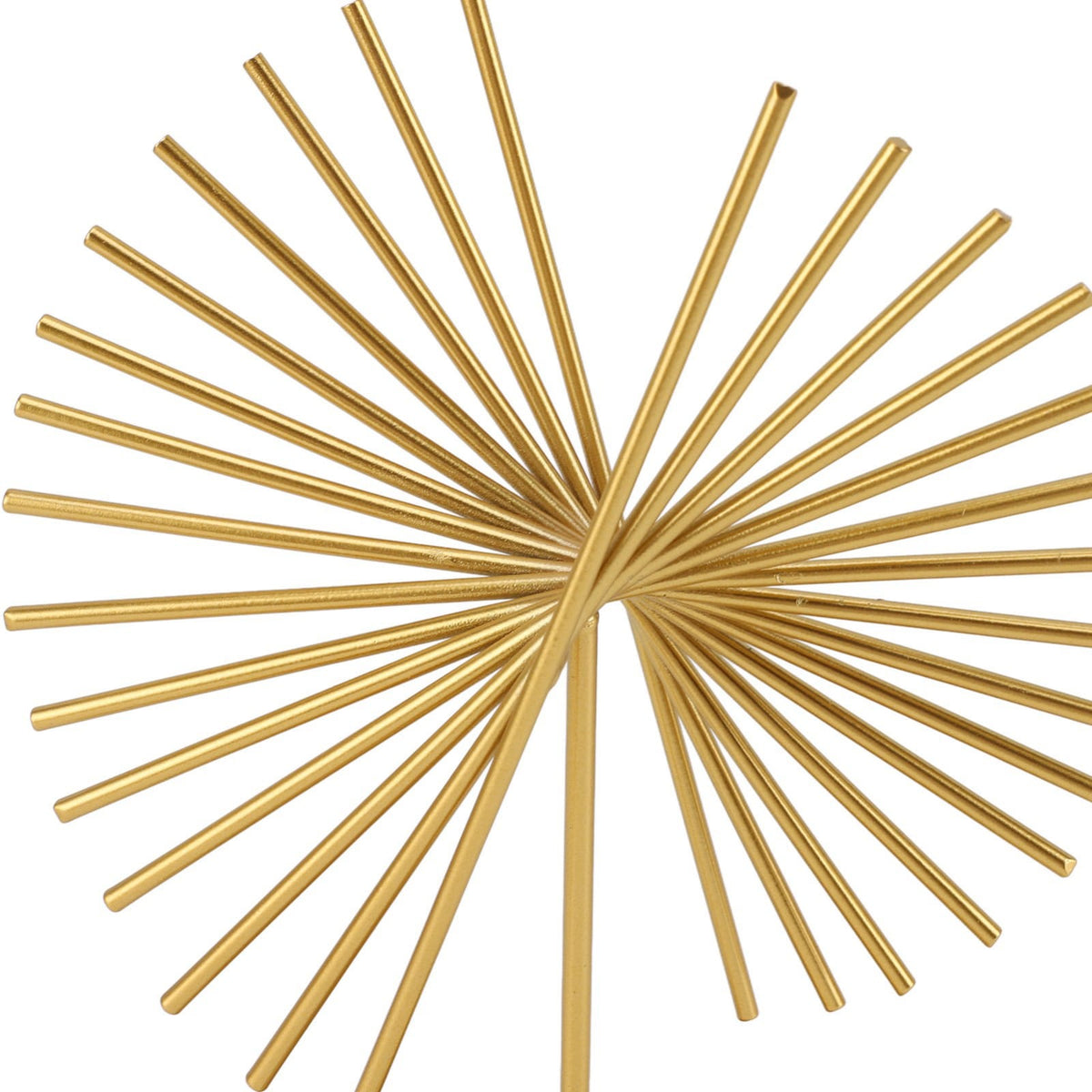 Metal Art Model-Golden(SA2405-14) Wall Hangings Apricot