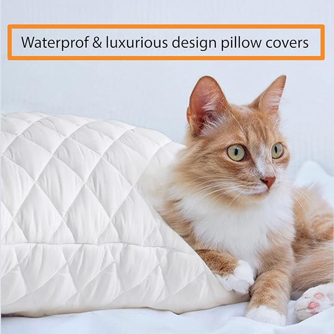 Quilted Pillow Protector-White FILLINGS The Apricot Linen   