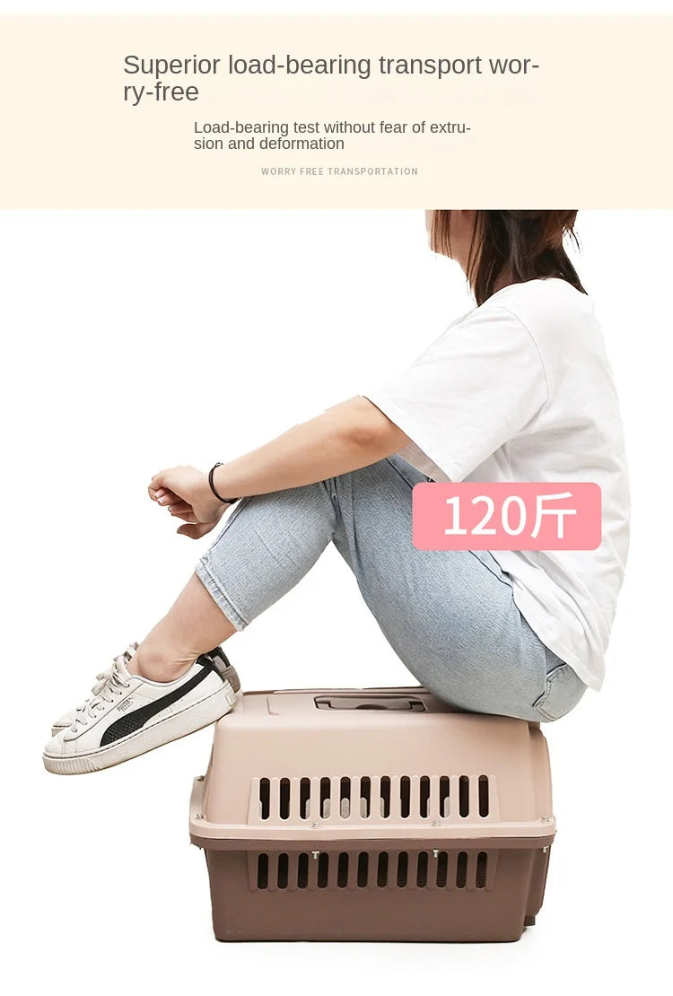 Portable Pet Carrier-SA2408-316 Mirror Apricot