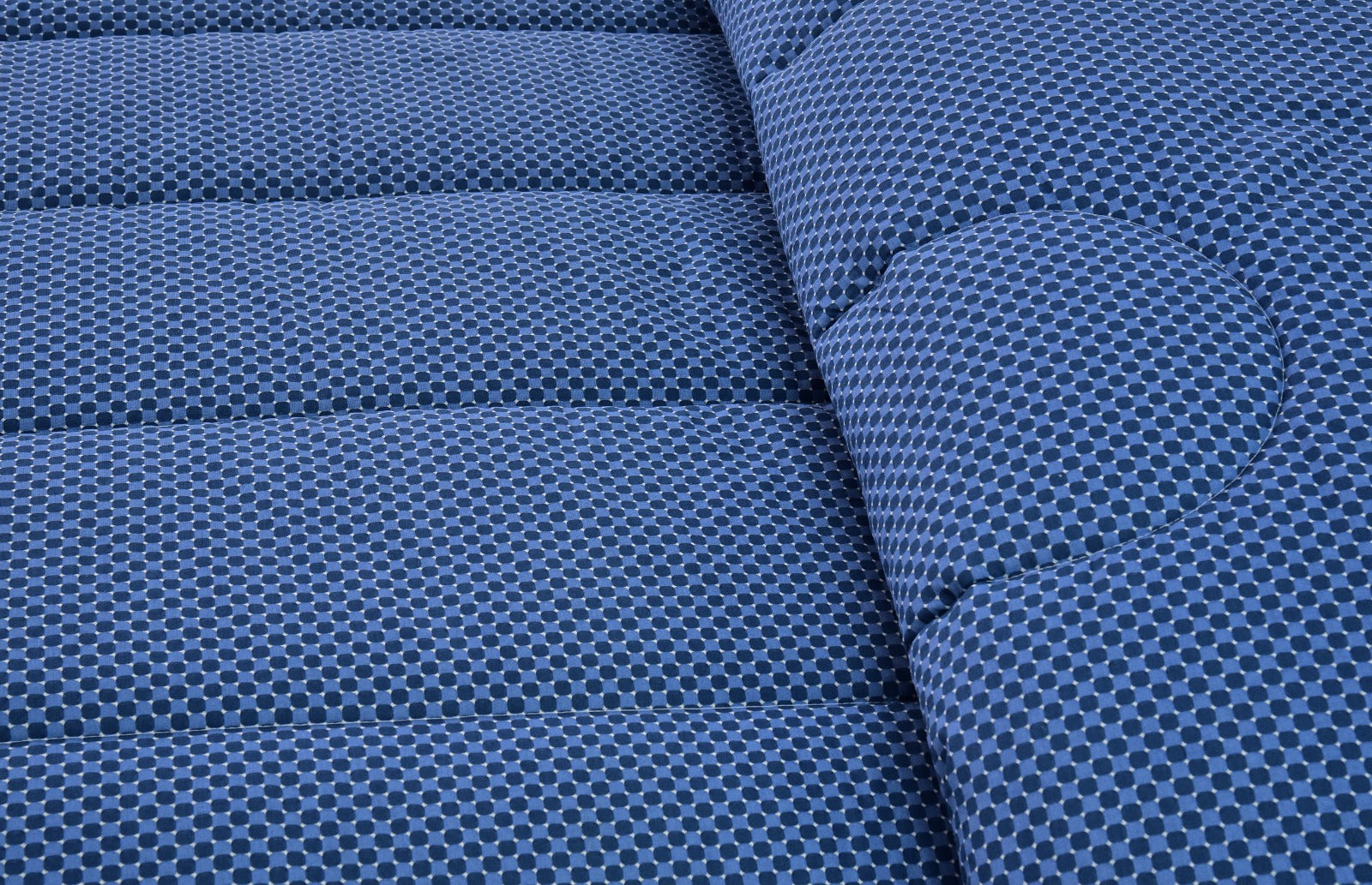 1 PC Double Winter Comforter-Blue Buds Comforters Apricot