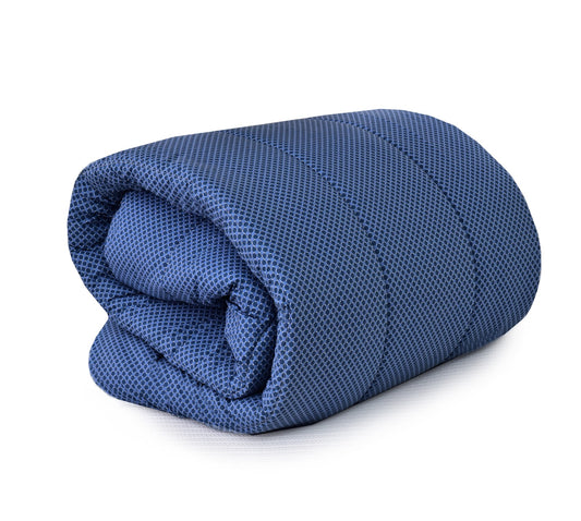 1 PC Double Winter Comforter-Blue Buds Comforters Apricot