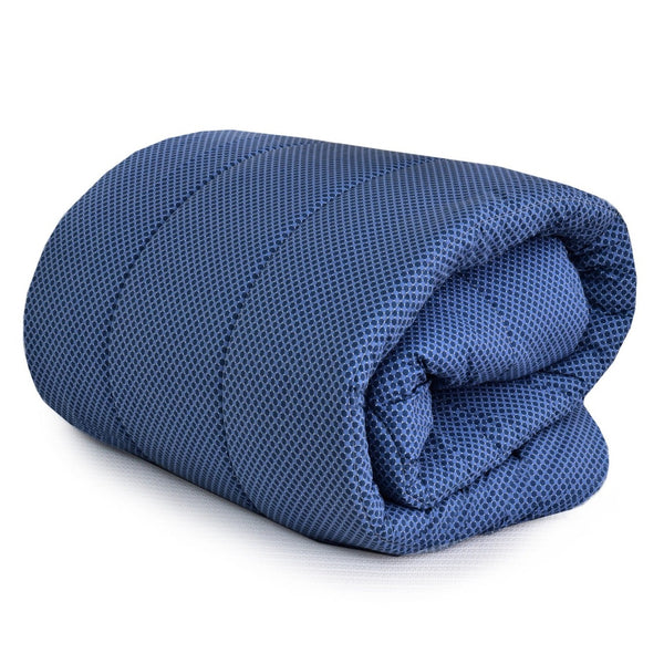 1 PC Double Winter Comforter-Blue Buds