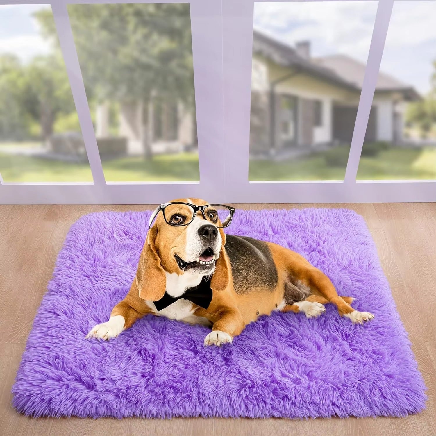 Anti-Slip Soft Fluffy Door Mat-Purple Door Mats Apricot   