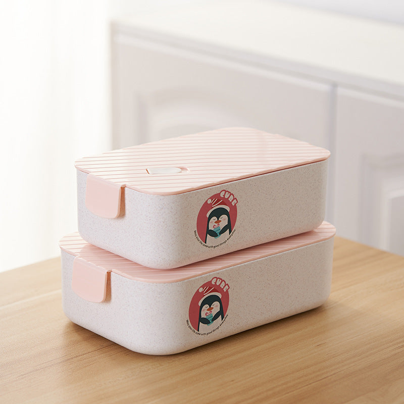 Large Rectangular Lunch Box-SA2408-307(Pink) Apricot