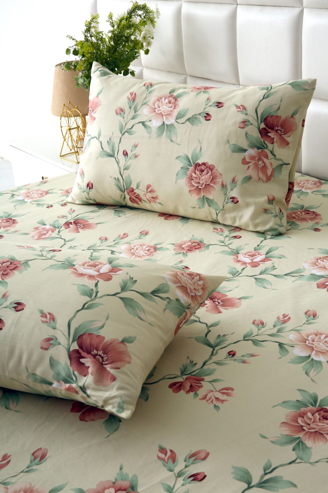 Fitted Bed Sheet-Rosa Fitted Sheets Apricot