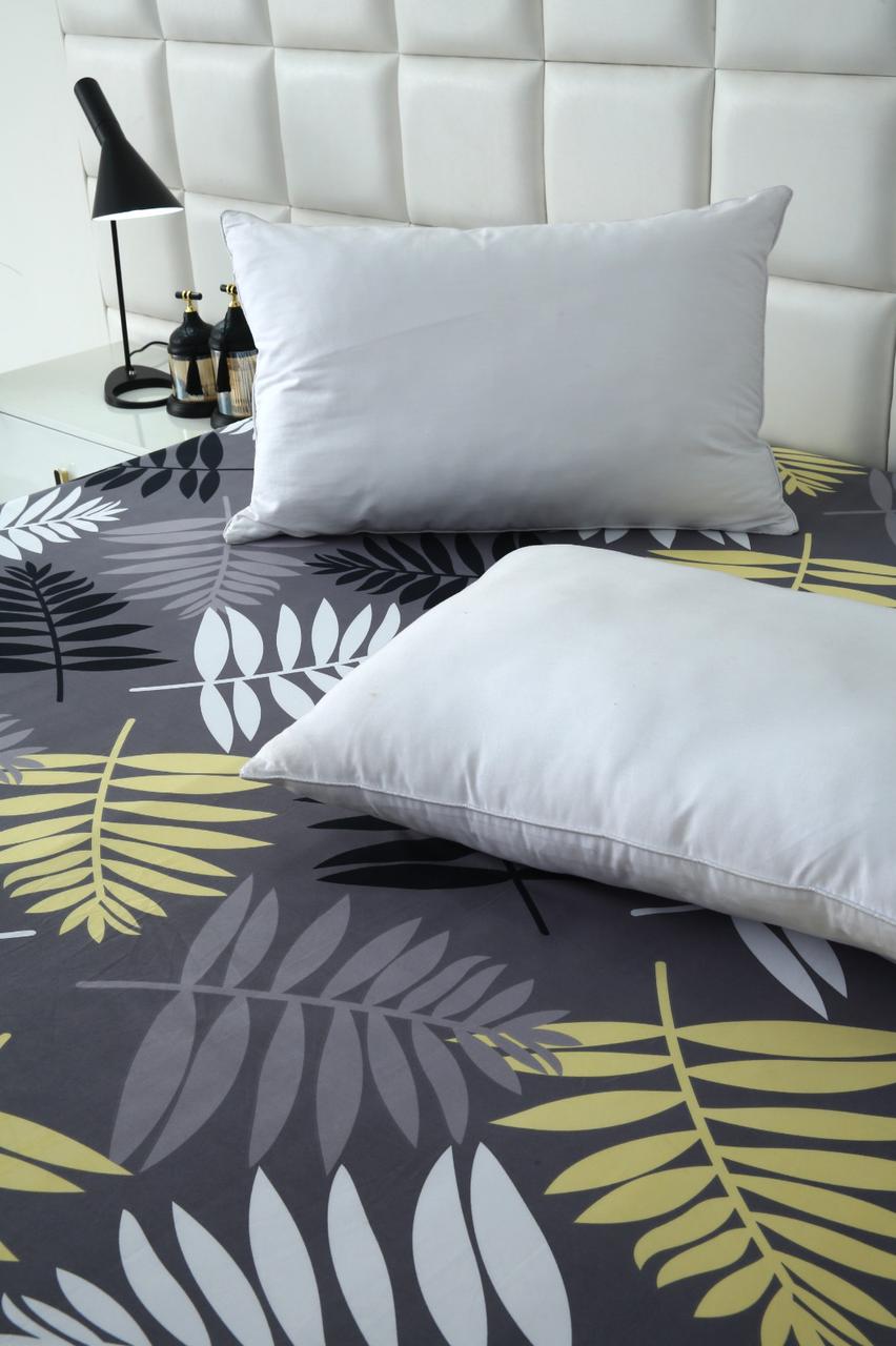 Zipper Mattress Cover Printed-Black Feathers Protectors Apricot