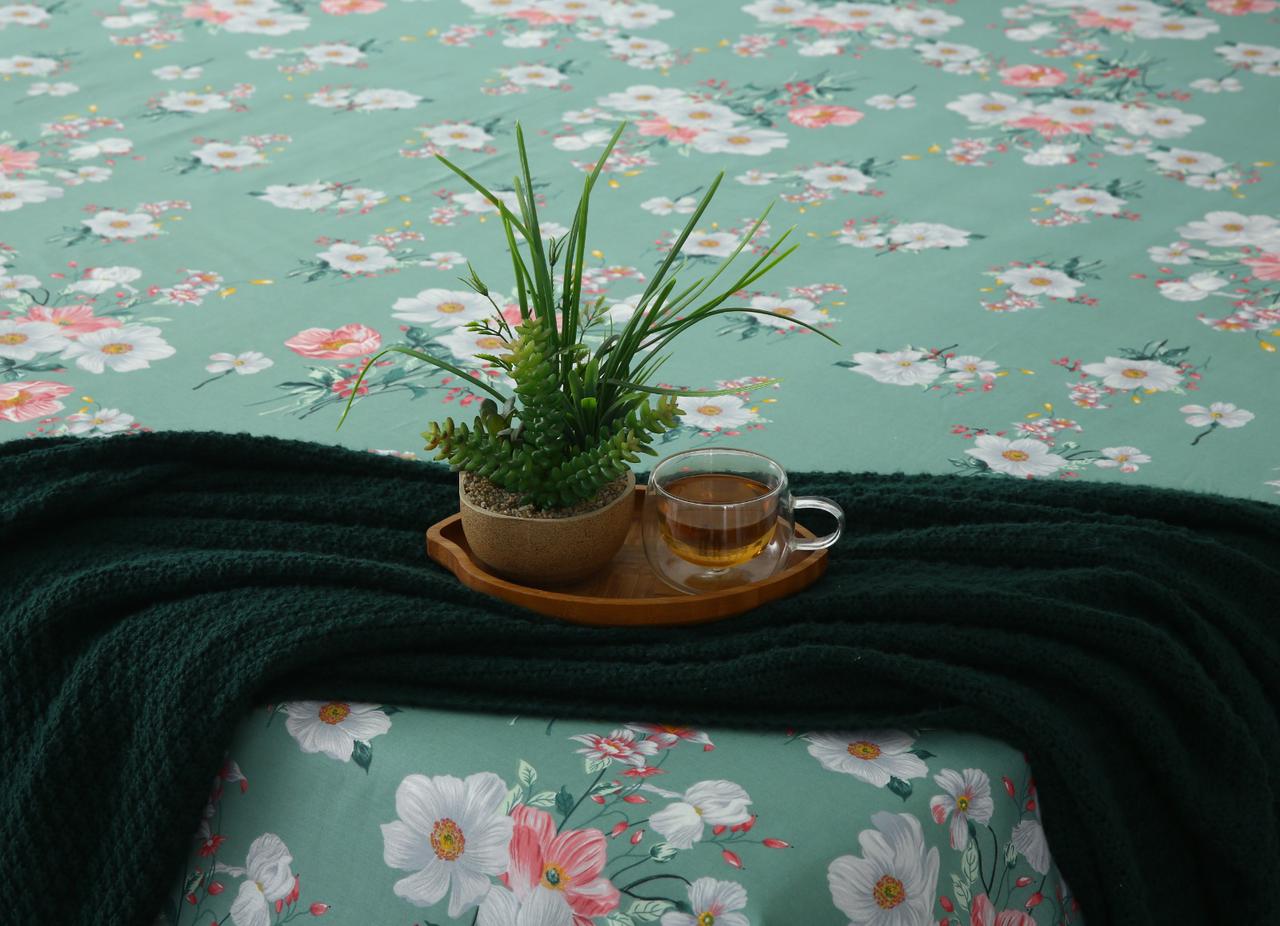 3 PCs Double Bed Sheet-DB-251 Bed Sheets Apricot