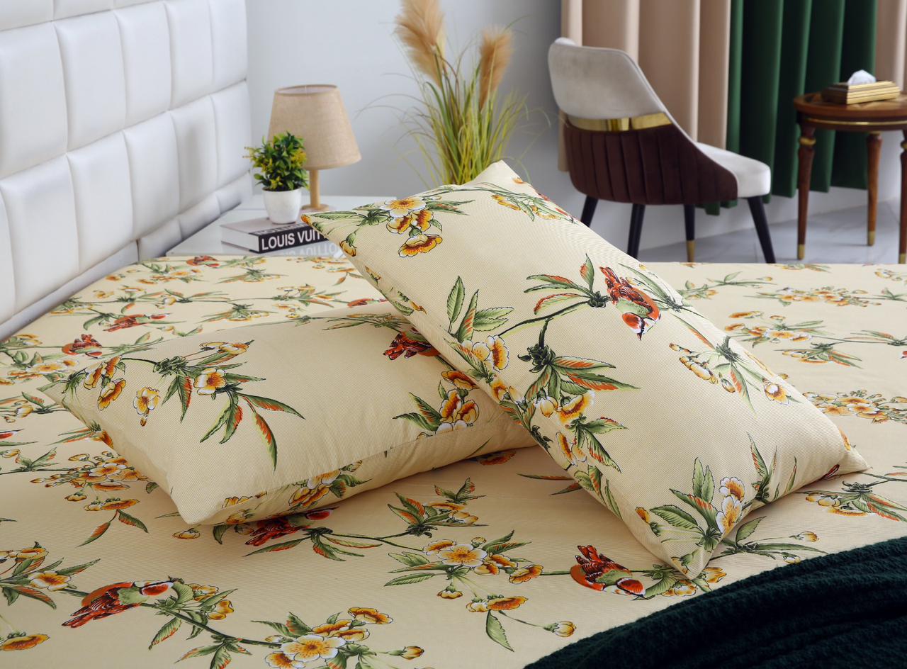 3 PCs Double Bed Sheet-DB-248 Bed Sheets Apricot