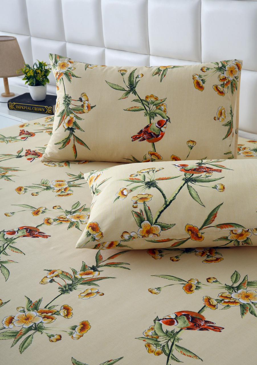 3 PCs Double Bed Sheet-DB-248 Bed Sheets Apricot