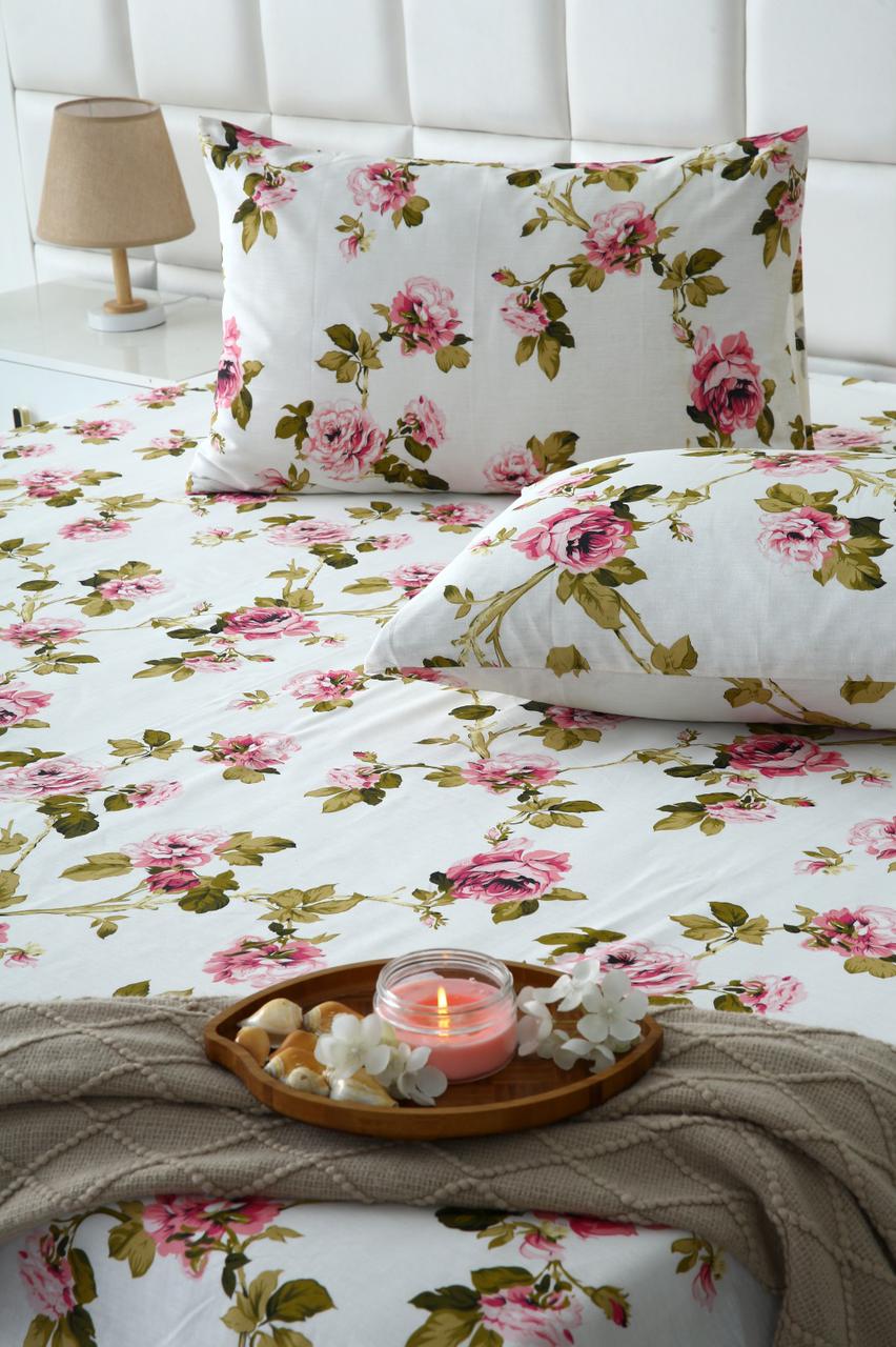 3 PCs Double Bed Sheet-DB184 Bed Sheets Apricot