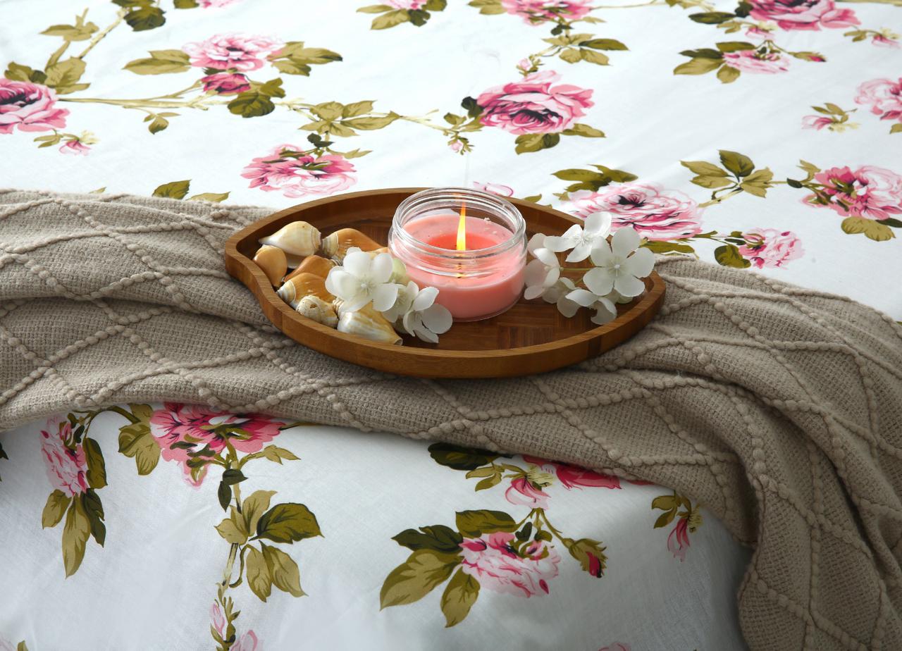 3 PCs Double Bed Sheet-DB184 Bed Sheets Apricot