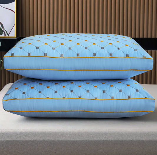 2PCs Embroidered Bed Pillows- Sky Blue FILLINGS The Apricot Linen