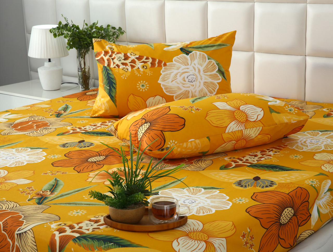 Fitted Bed Sheet- PFT021 Fitted Sheets Apricot