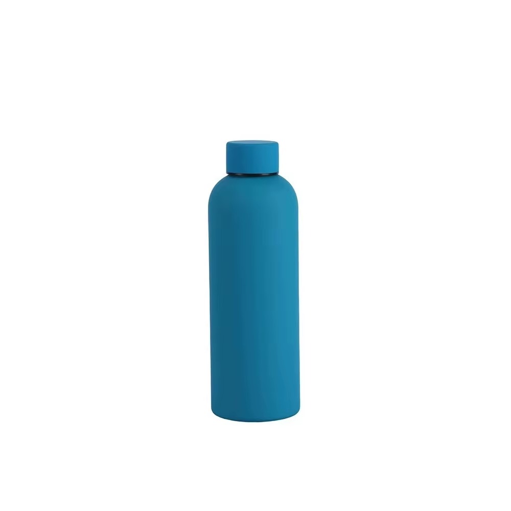 Stainless Steel Insulated Water Bottle(SA2408-224)-Blue Apricot