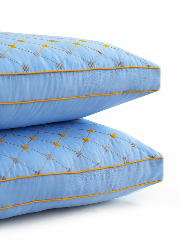 Embroidered Filled Pillows Pack of 2-Sky blue Apricot